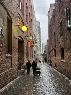 Rain, bricks, reflections.